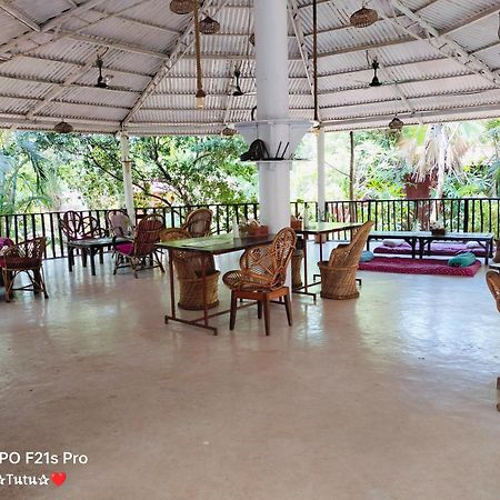 Jamboree Creek Yoga Mandrem Ngoại thất bức ảnh