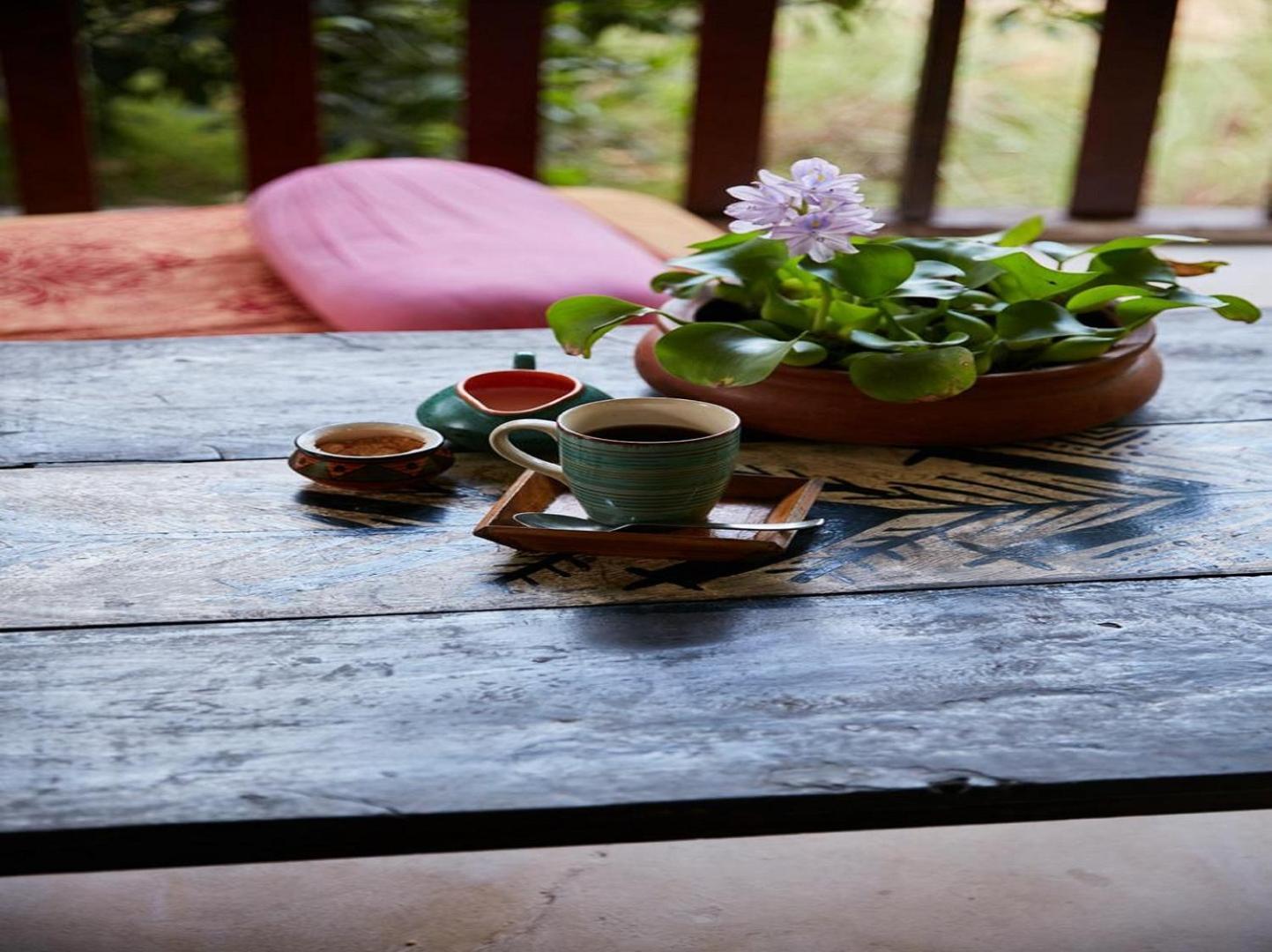 Jamboree Creek Yoga Mandrem Ngoại thất bức ảnh