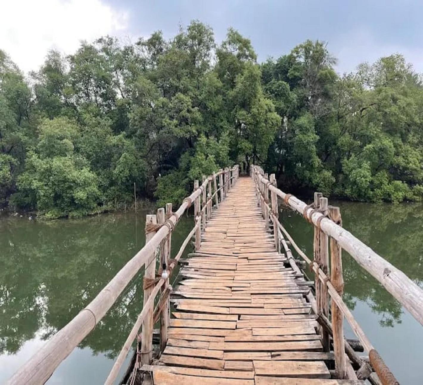 Jamboree Creek Yoga Mandrem Ngoại thất bức ảnh
