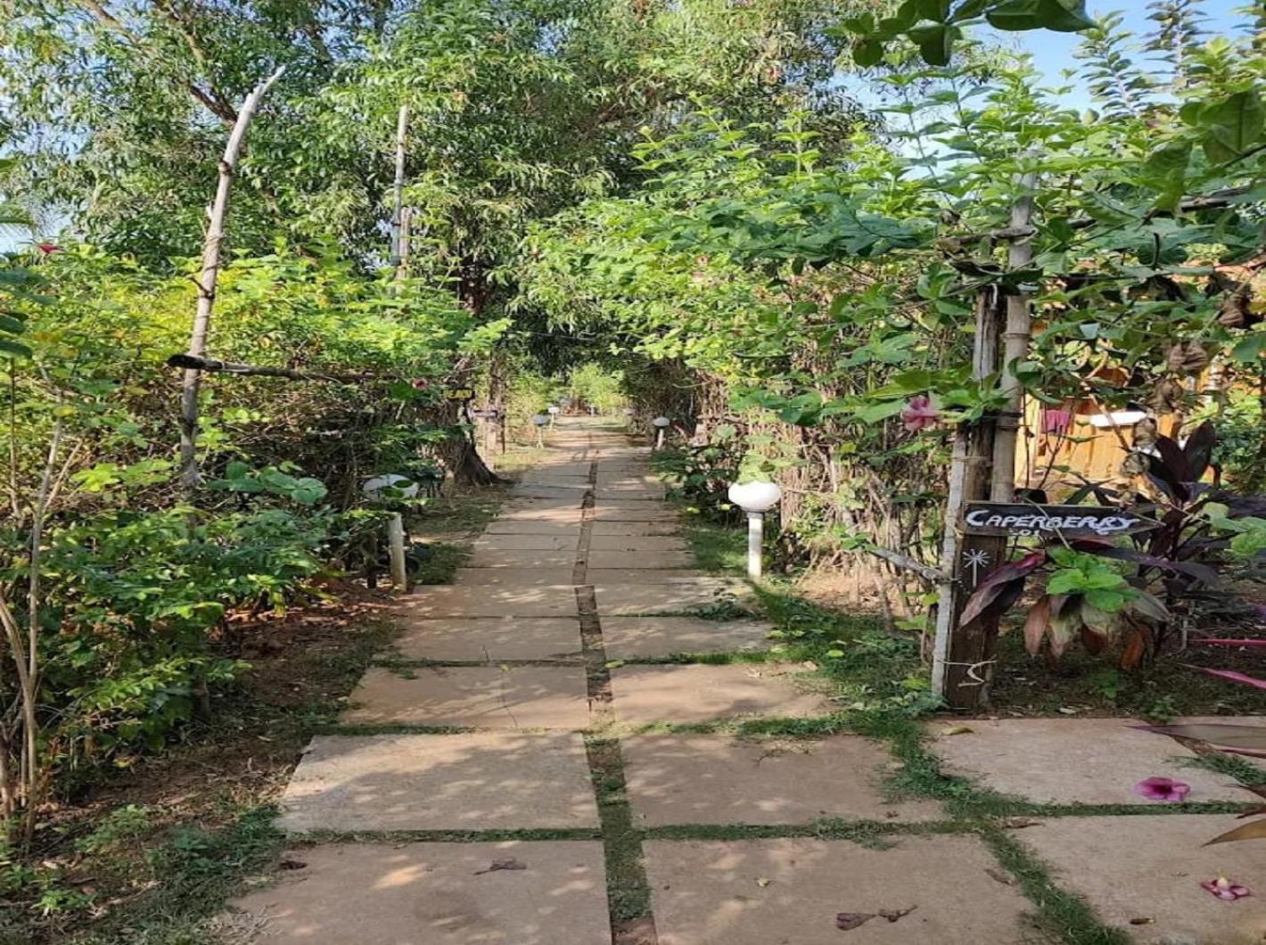 Jamboree Creek Yoga Mandrem Ngoại thất bức ảnh