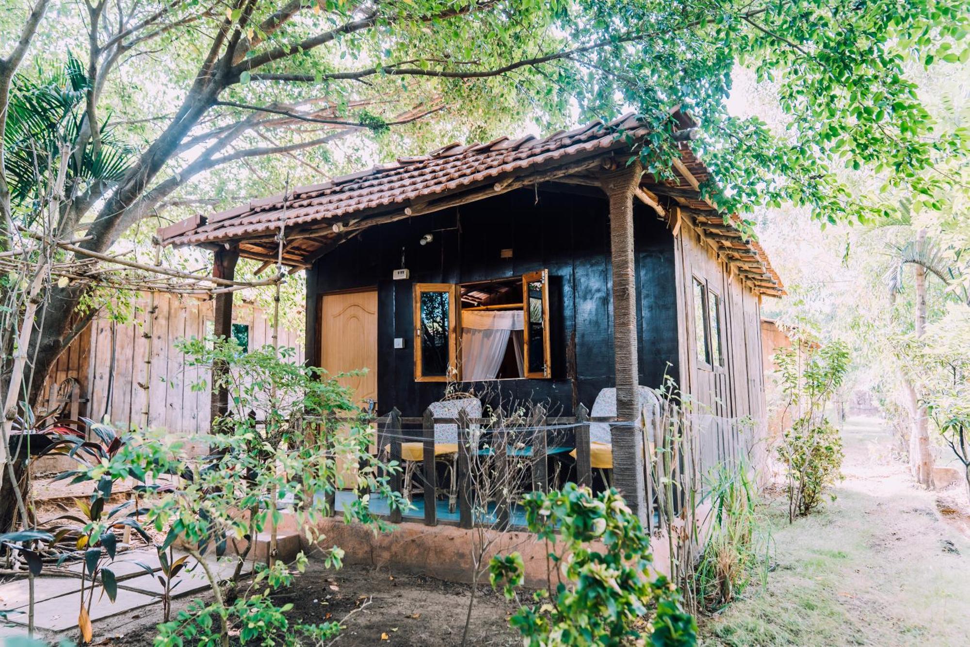 Jamboree Creek Yoga Mandrem Ngoại thất bức ảnh