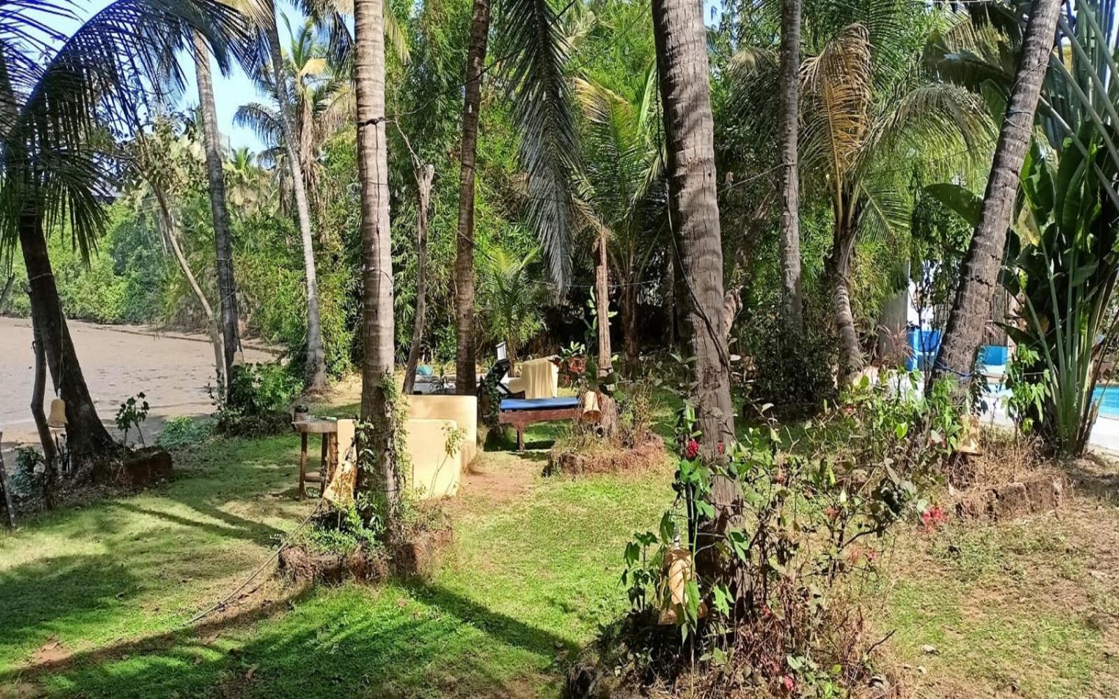 Jamboree Creek Yoga Mandrem Ngoại thất bức ảnh