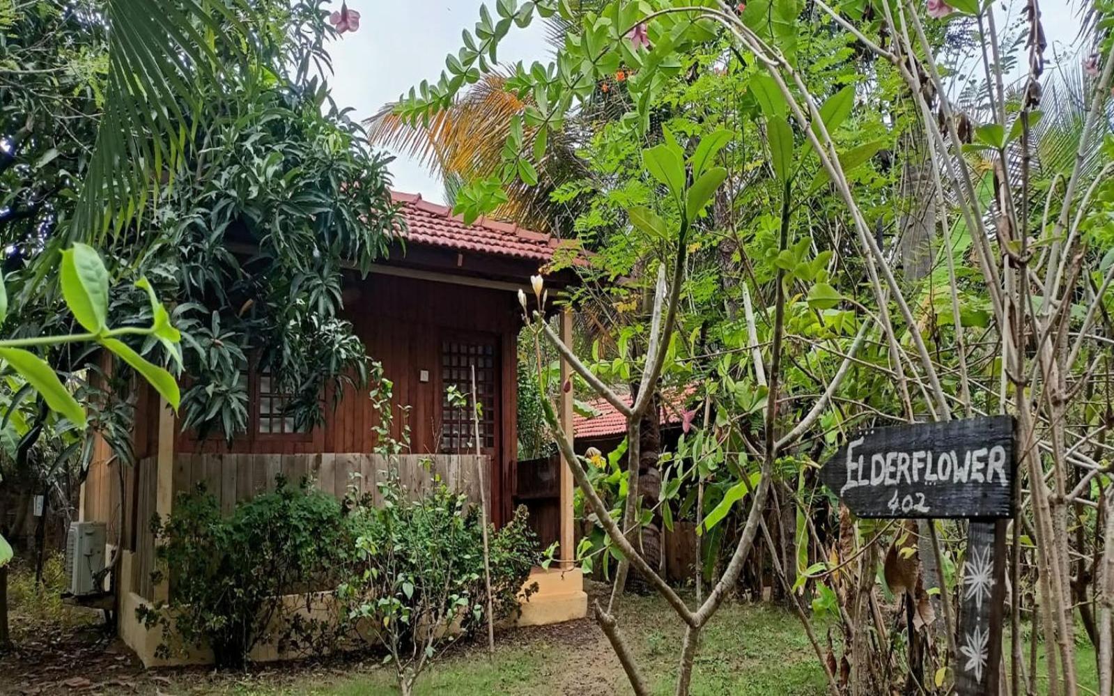 Jamboree Creek Yoga Mandrem Ngoại thất bức ảnh