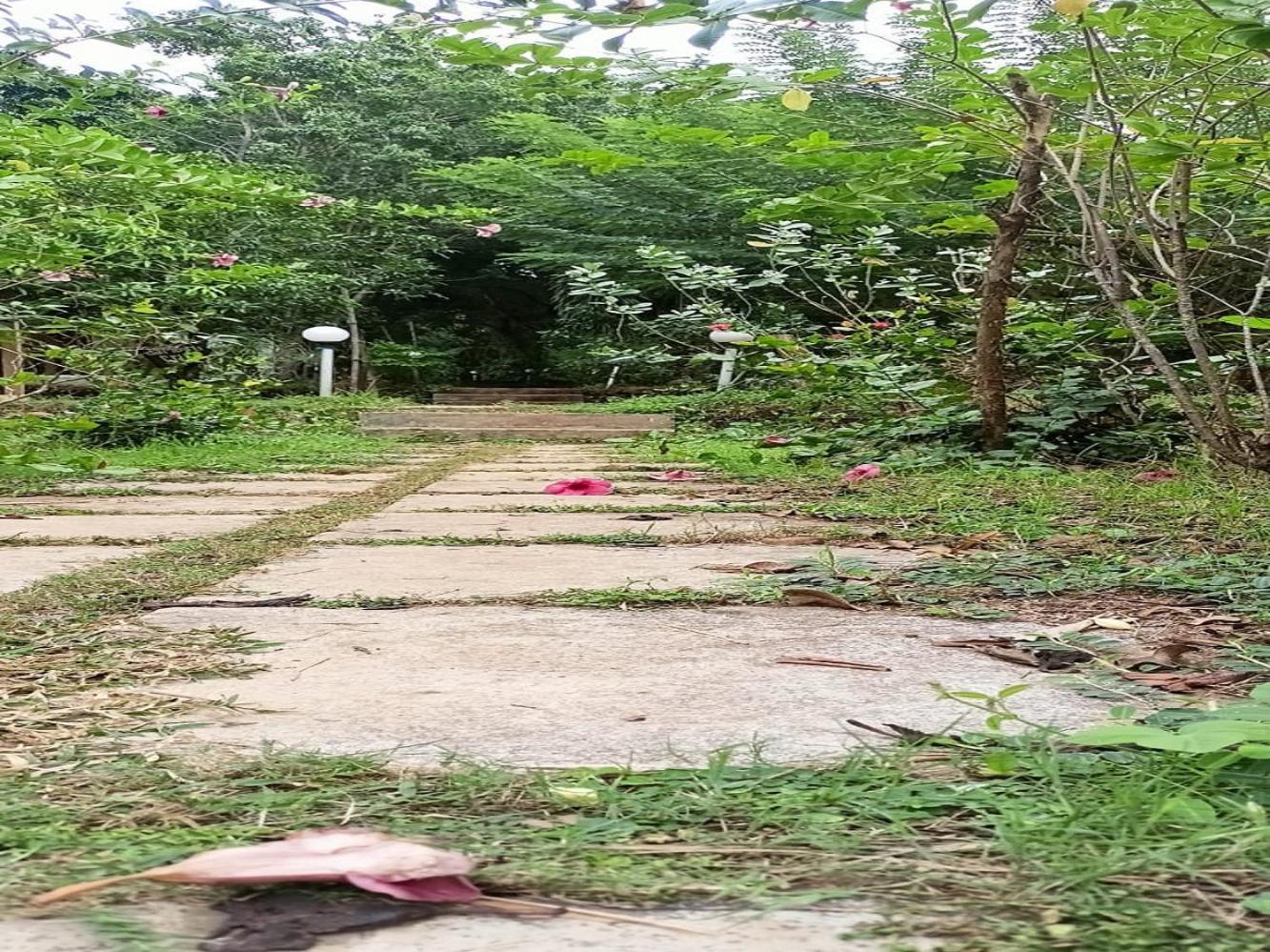 Jamboree Creek Yoga Mandrem Ngoại thất bức ảnh
