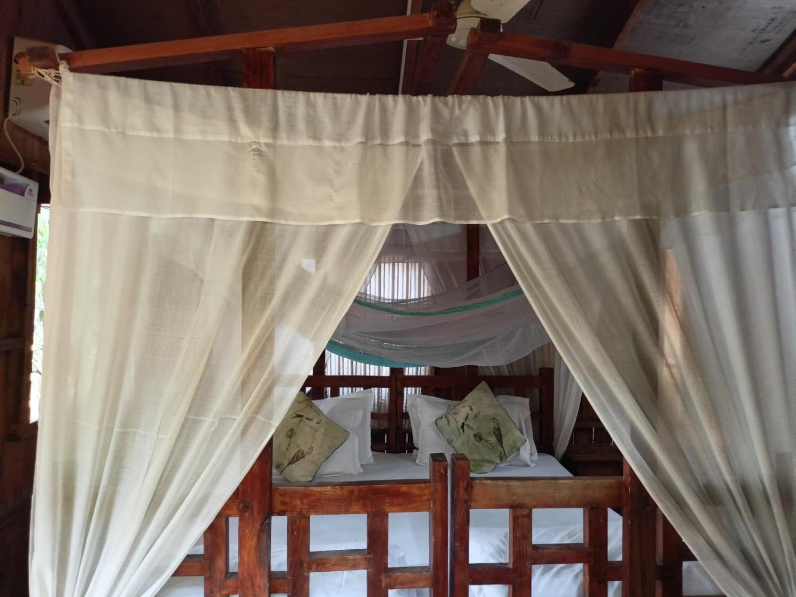 Jamboree Creek Yoga Mandrem Ngoại thất bức ảnh