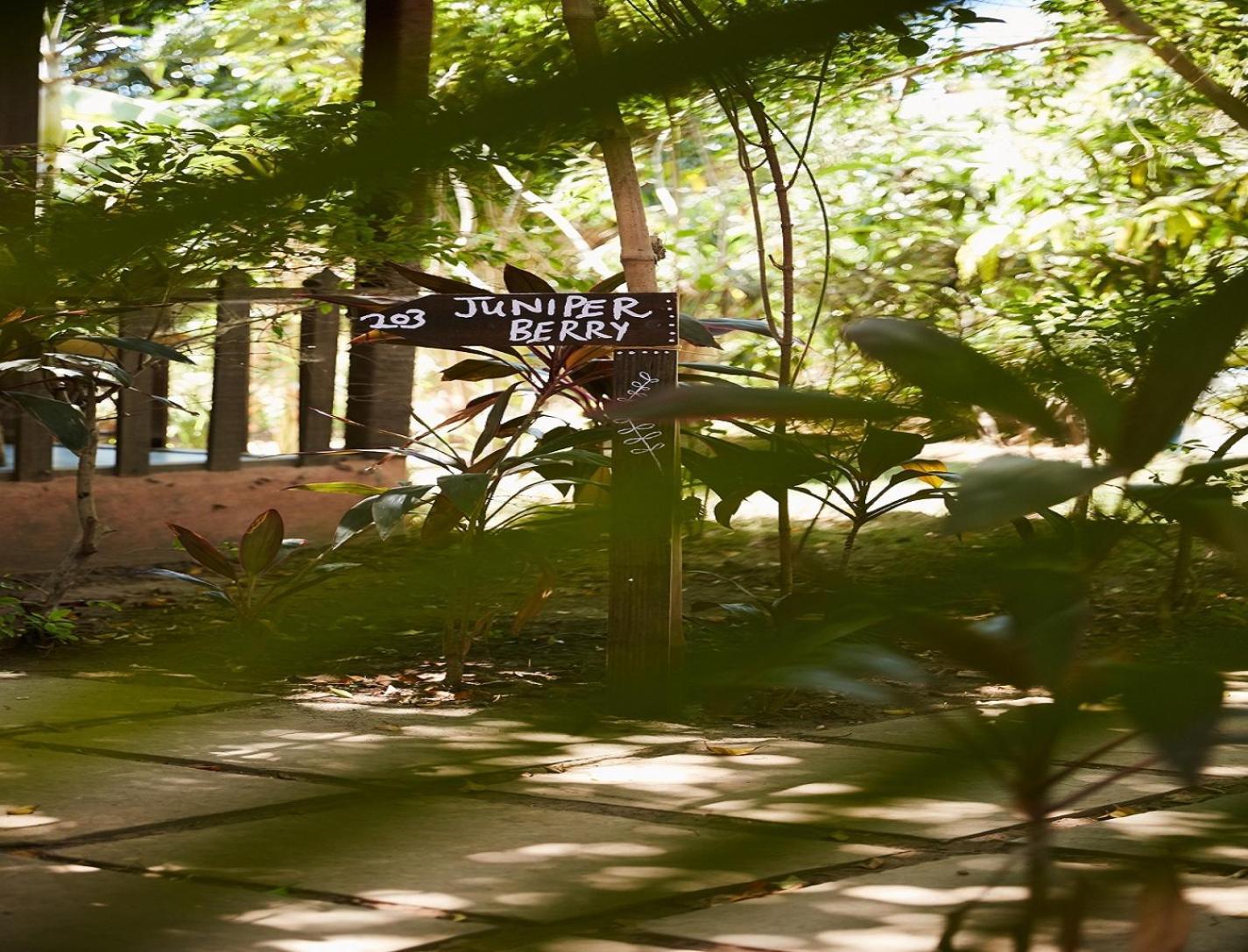 Jamboree Creek Yoga Mandrem Ngoại thất bức ảnh