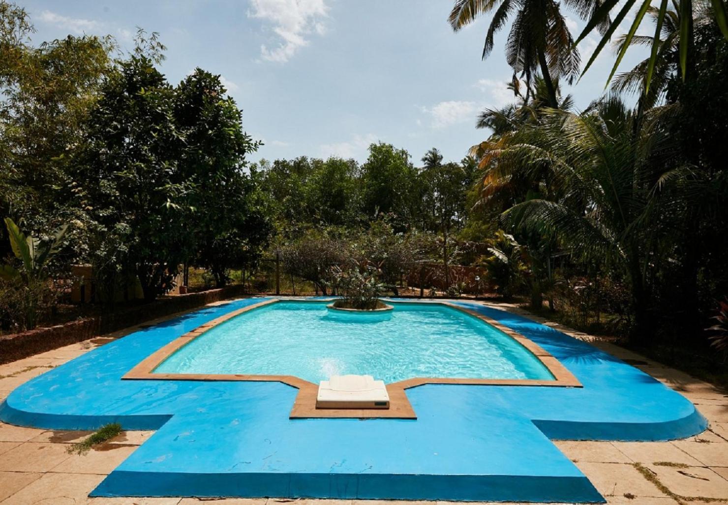 Jamboree Creek Yoga Mandrem Ngoại thất bức ảnh