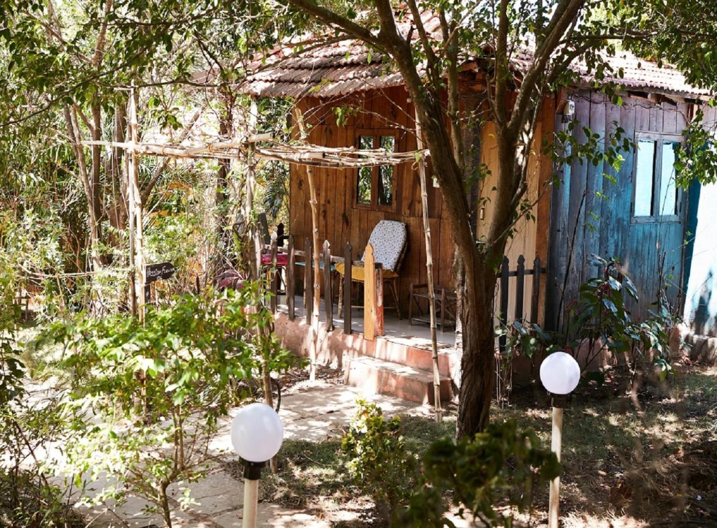 Jamboree Creek Yoga Mandrem Ngoại thất bức ảnh