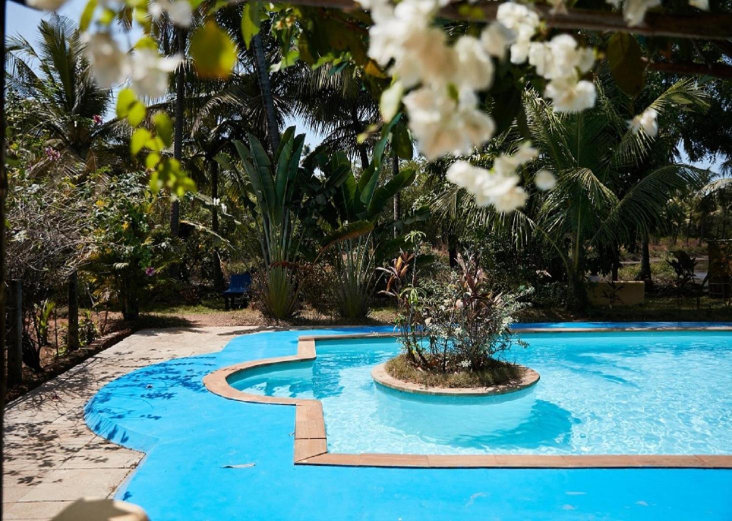 Jamboree Creek Yoga Mandrem Ngoại thất bức ảnh