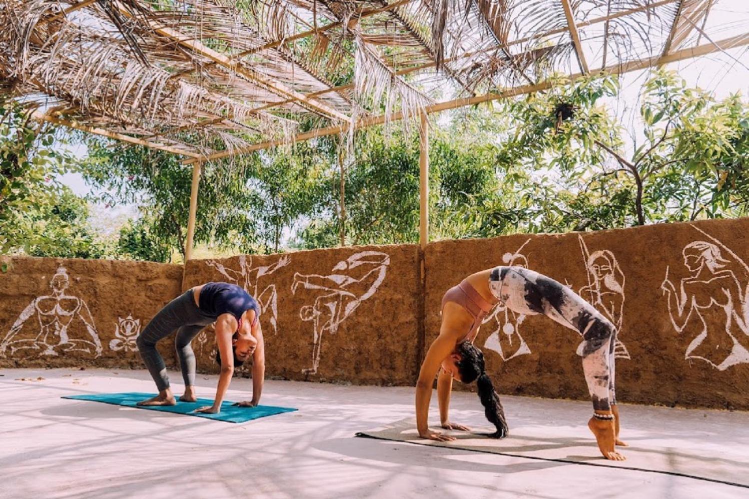 Jamboree Creek Yoga Mandrem Ngoại thất bức ảnh