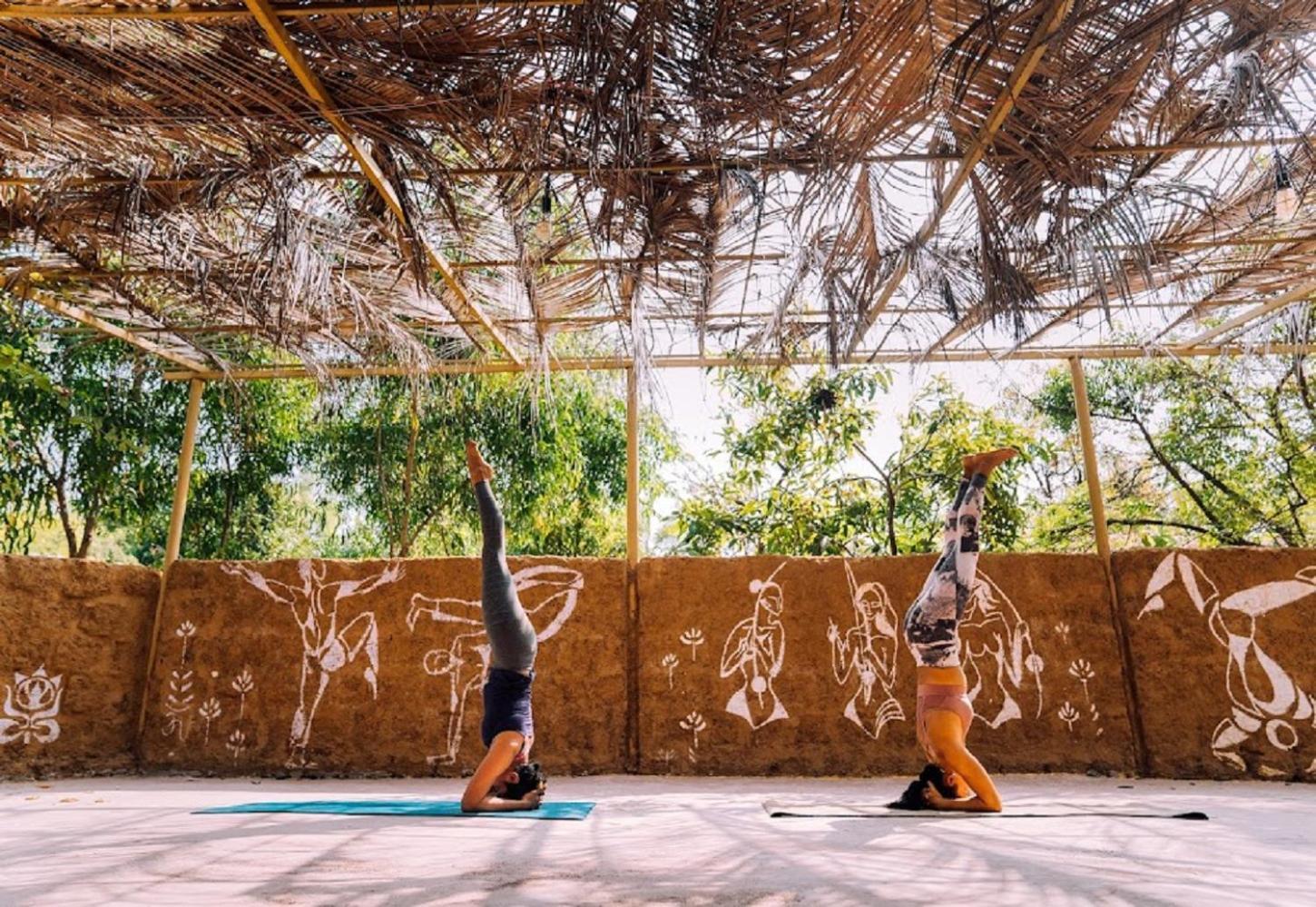Jamboree Creek Yoga Mandrem Ngoại thất bức ảnh