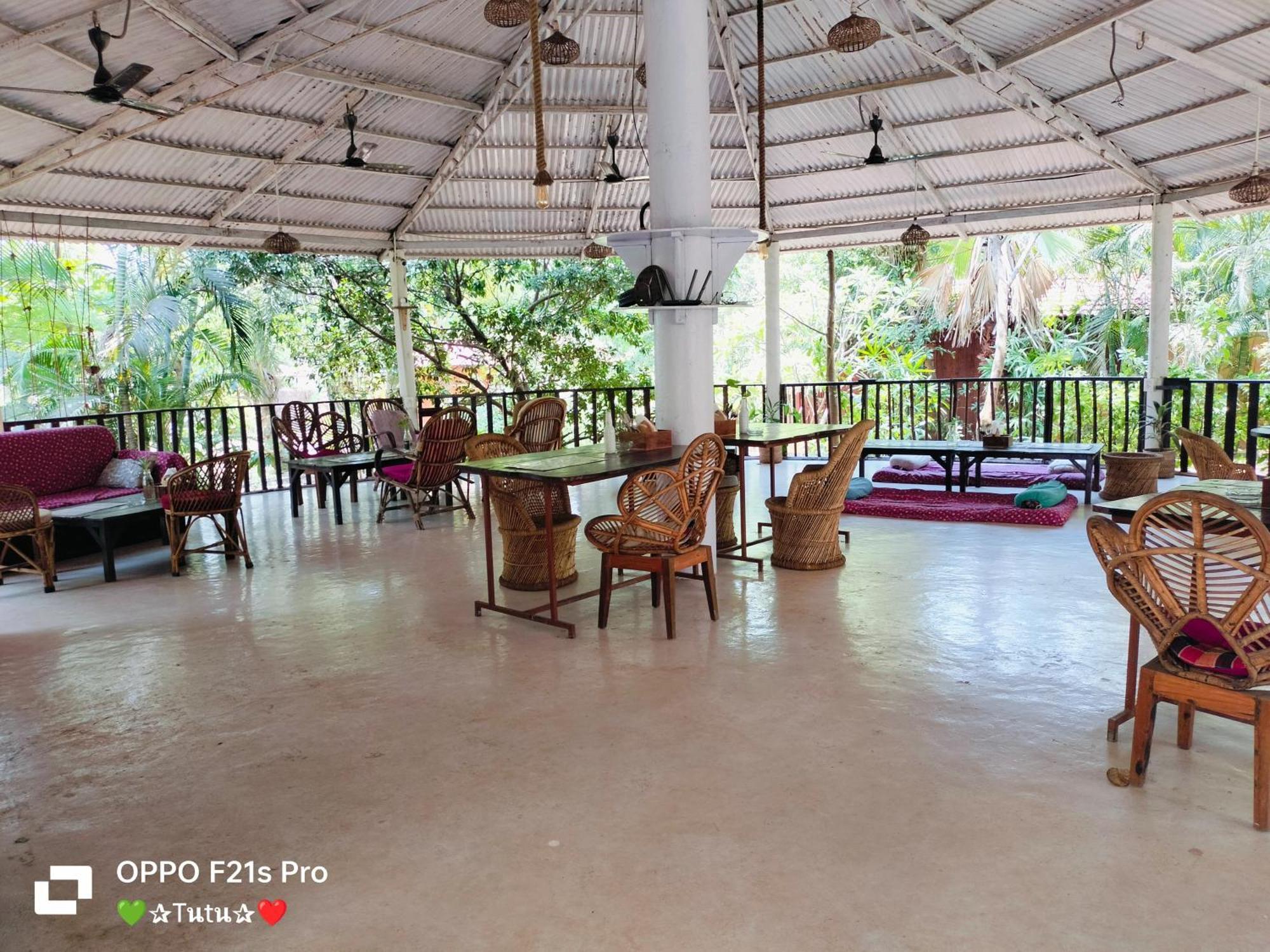 Jamboree Creek Yoga Mandrem Ngoại thất bức ảnh