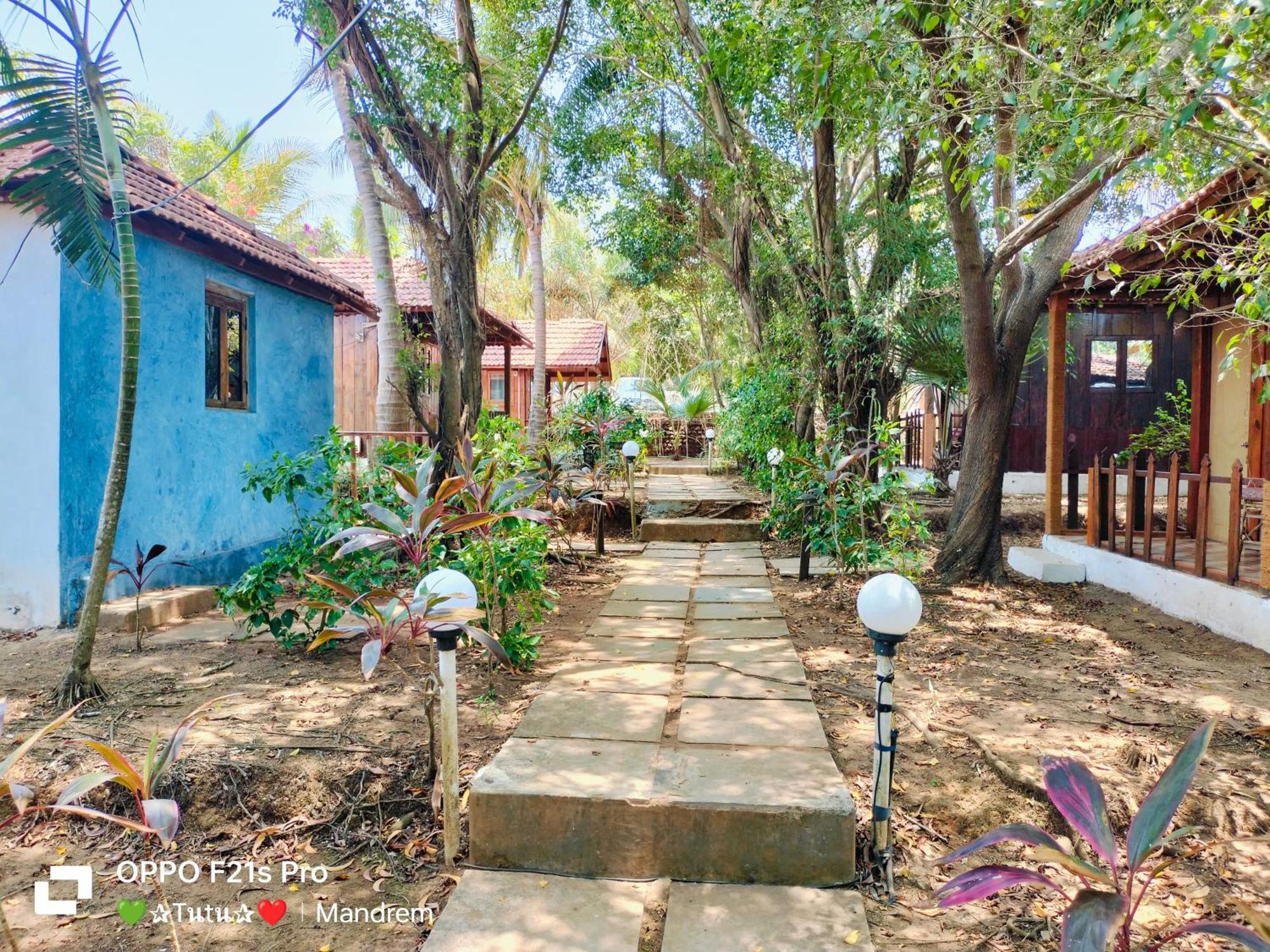 Jamboree Creek Yoga Mandrem Ngoại thất bức ảnh