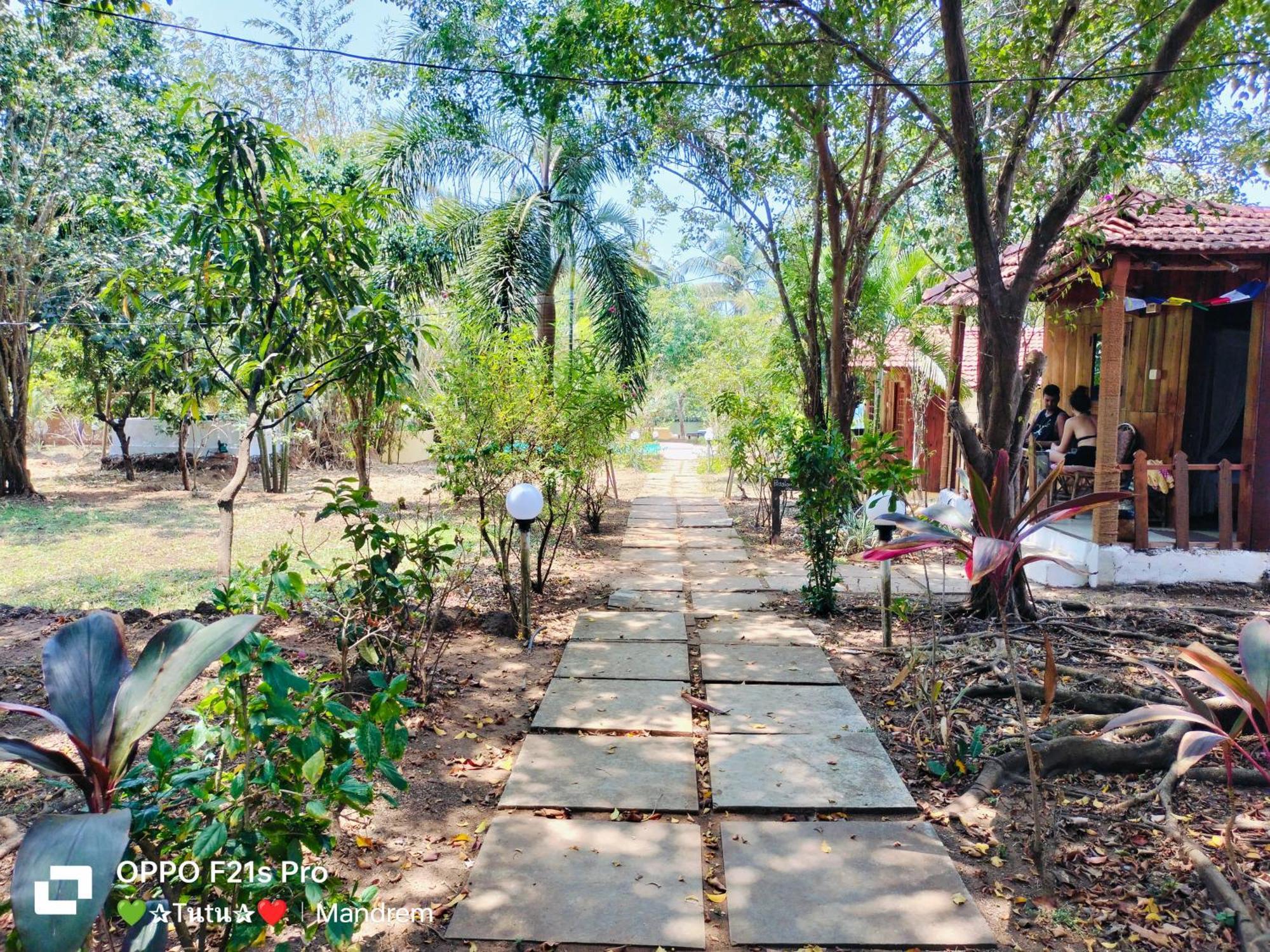Jamboree Creek Yoga Mandrem Ngoại thất bức ảnh